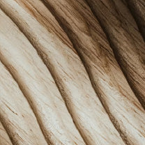 woody & earthy