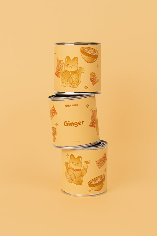 Ginger Spicy Fresh Best Natural Candle in Montreal with Wood Wick & Cute Illustrations